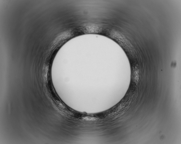 X0000097980742200804211037