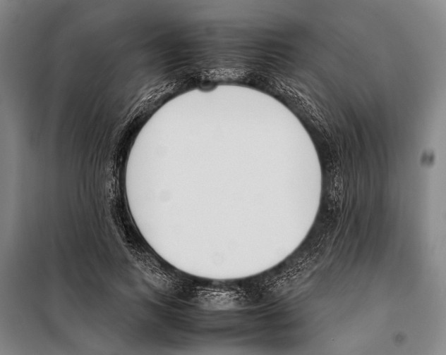 X0000097980743200804211037