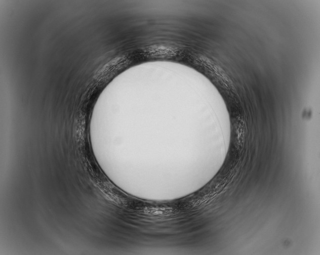 X0000097980745200804211037