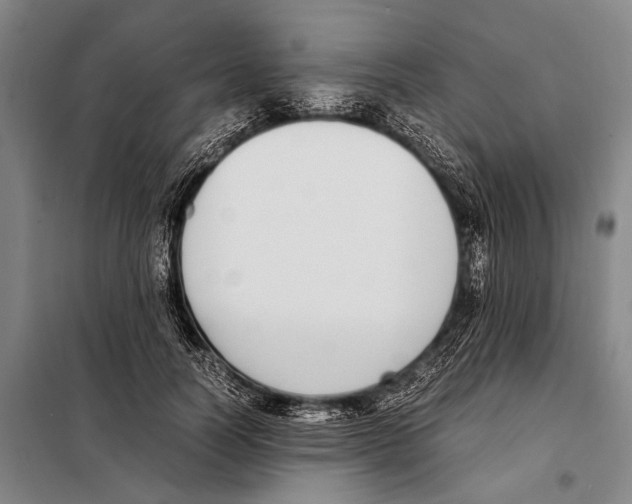 X0000097980746200804211037