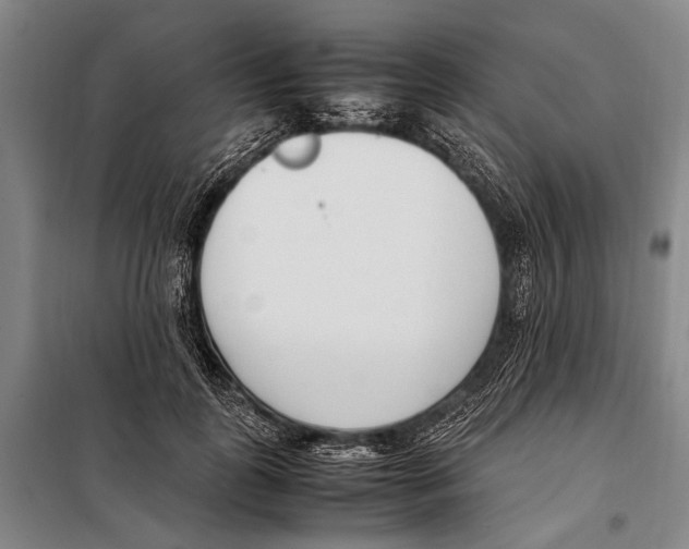 X0000097980747200804211037