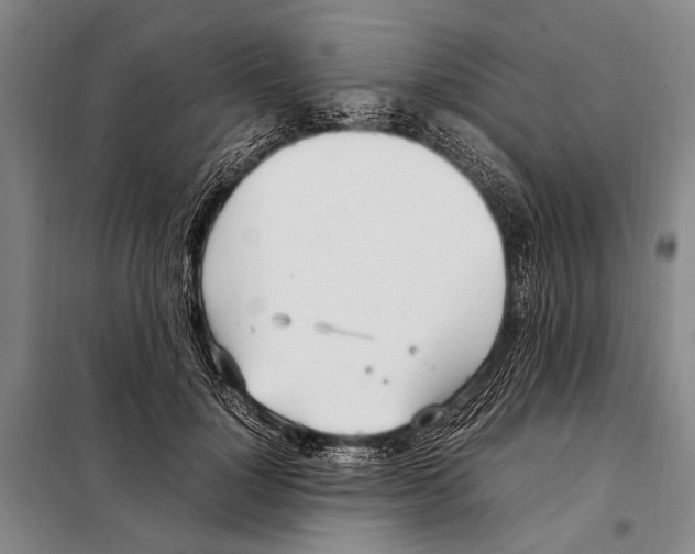 X0000097980748200804211037