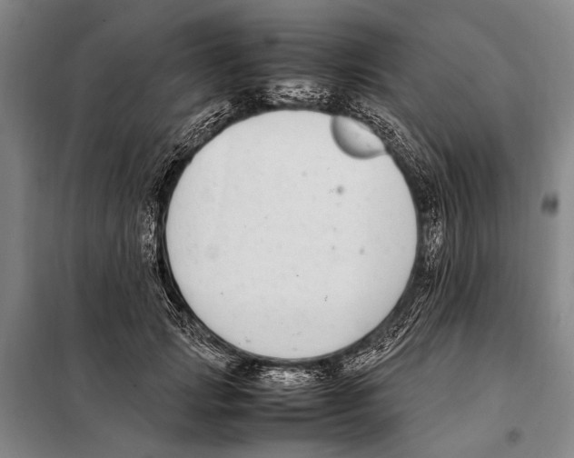 X0000097980749200804211037