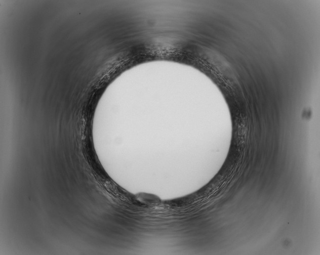 X0000097980750200804211037