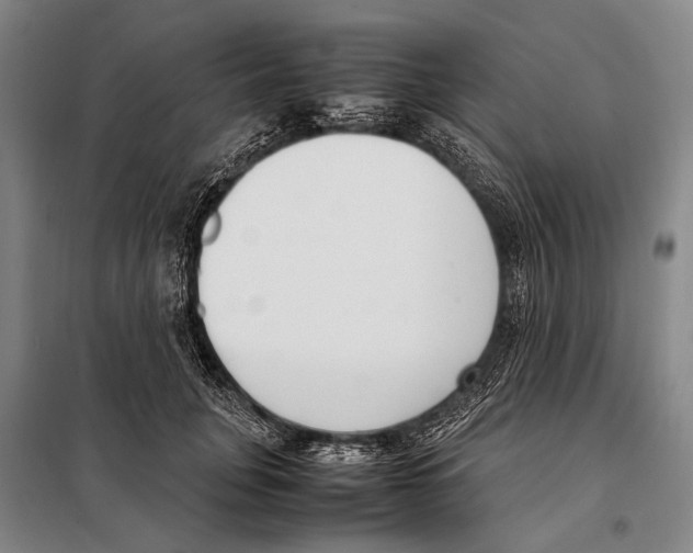 X0000097980751200804211037