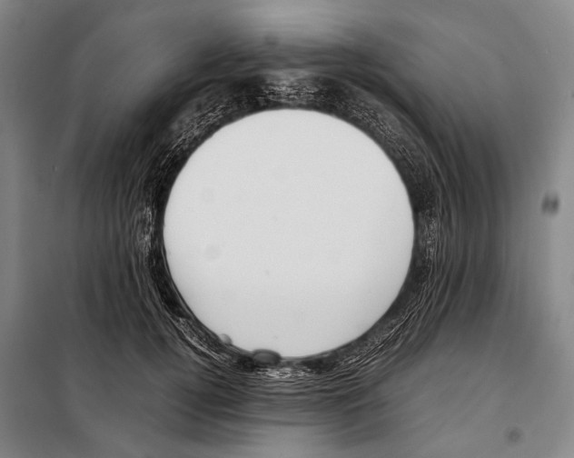 X0000097980752200804211037