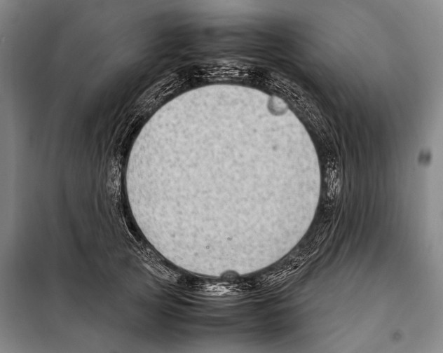 X0000097980753200804211037