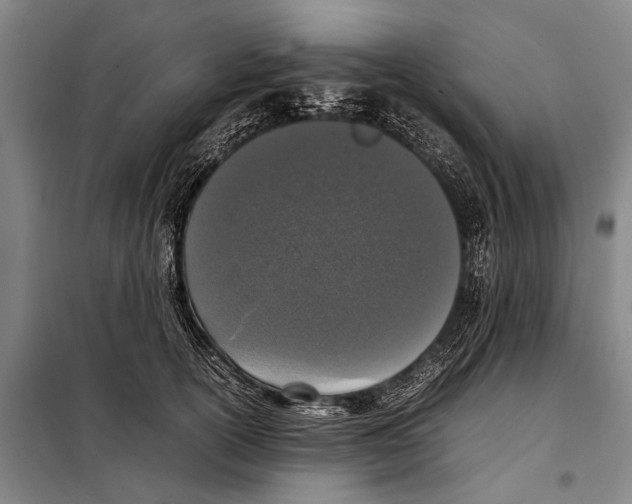 X0000097980754200804211037