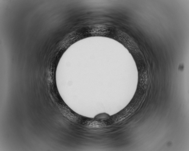 X0000097980755200804211037