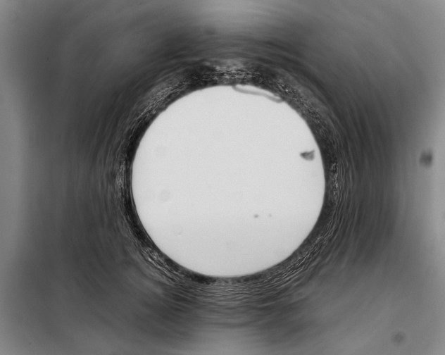 X0000097980756200804211037