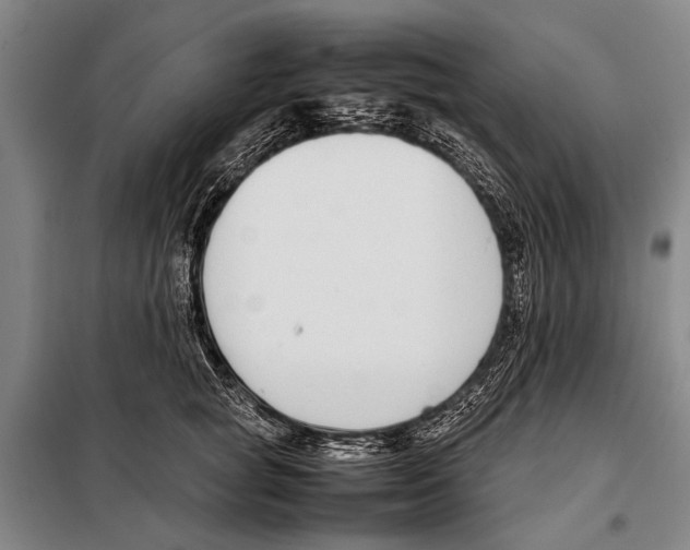 X0000097980757200804211037