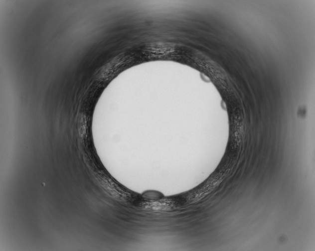 X0000097980758200804211038