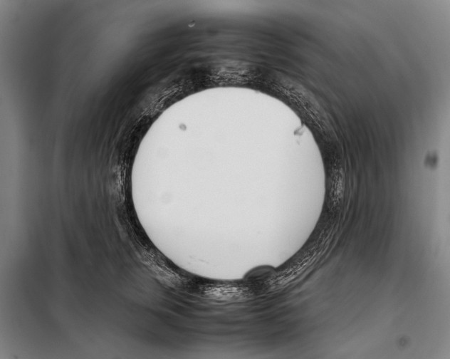 X0000097980759200804211038