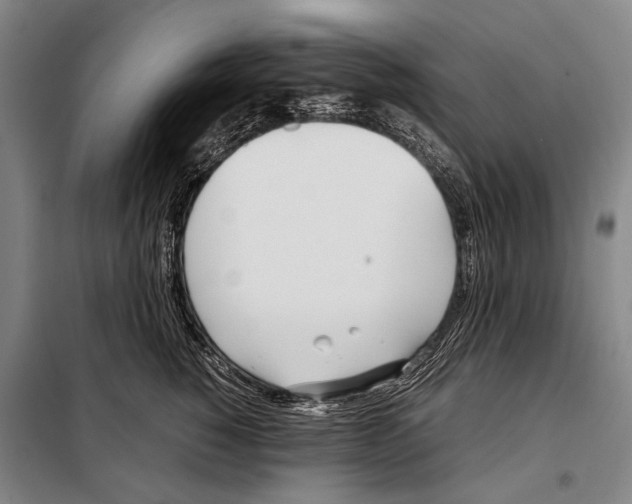 X0000097980760200804211038