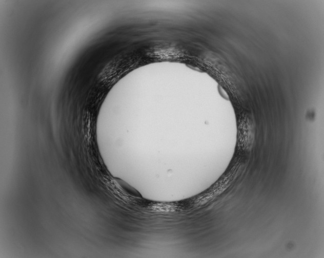 X0000097980762200804211038