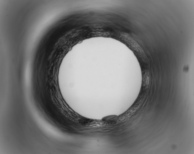 X0000097980764200804211038