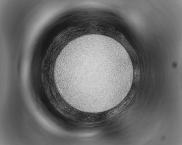 X0000097980765200804211038