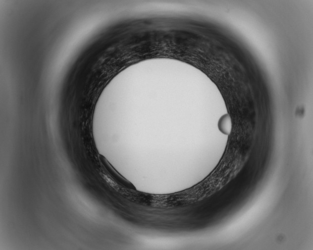 X0000097980766200804211038