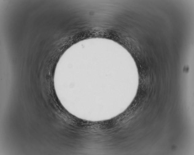 X0000097980769200804211037