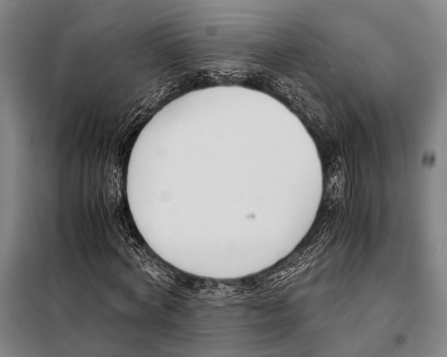 X0000097980772200804211037