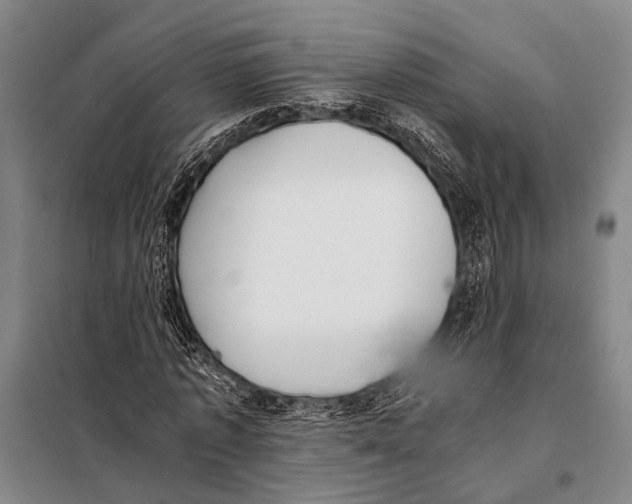 X0000097980773200804211037