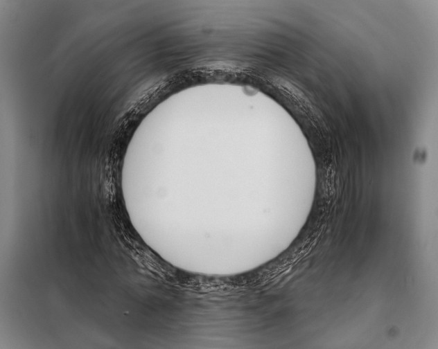 X0000097980774200804211037