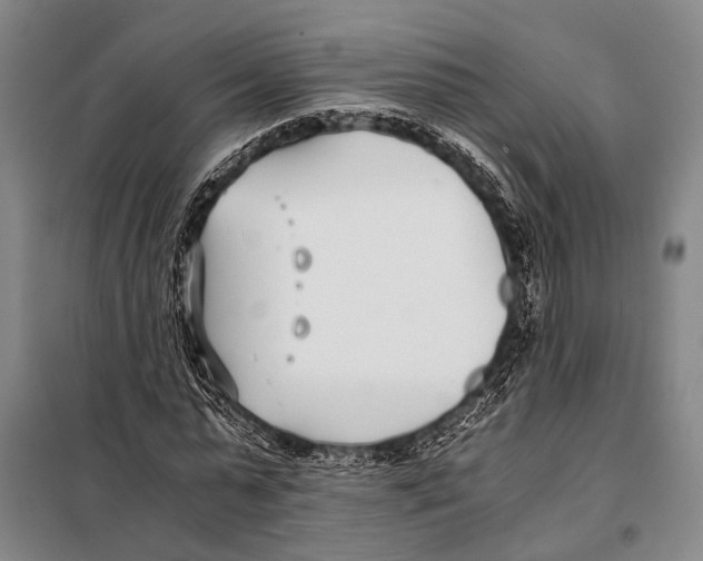 X0000097980775200804211037