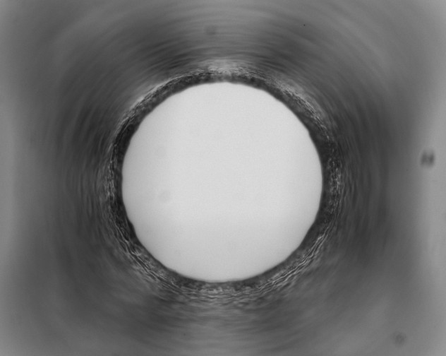 X0000097980776200804211037