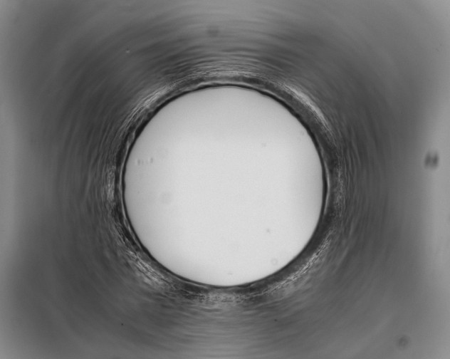 X0000097980777200804211037