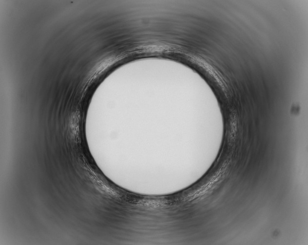 X0000097980778200804211037