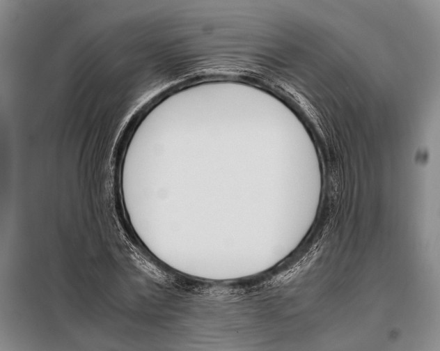 X0000097980779200804211037