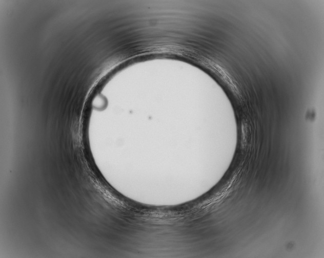 X0000097980780200804211037