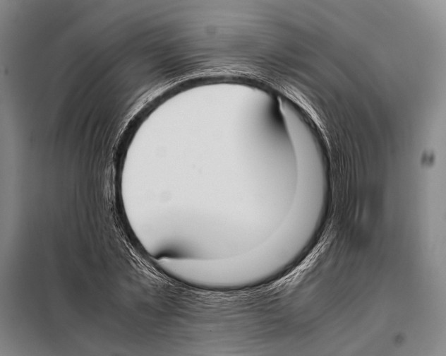 X0000097980781200804211037