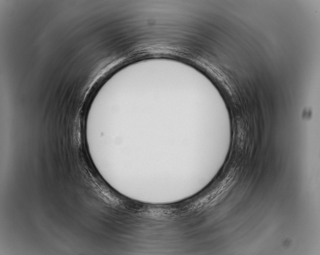 X0000097980782200804211036