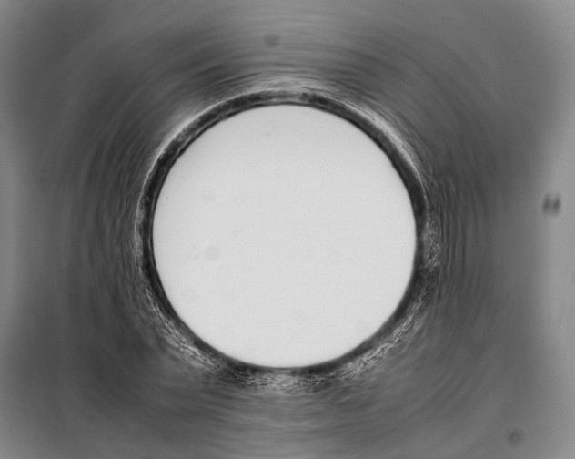 X0000097980783200804211036