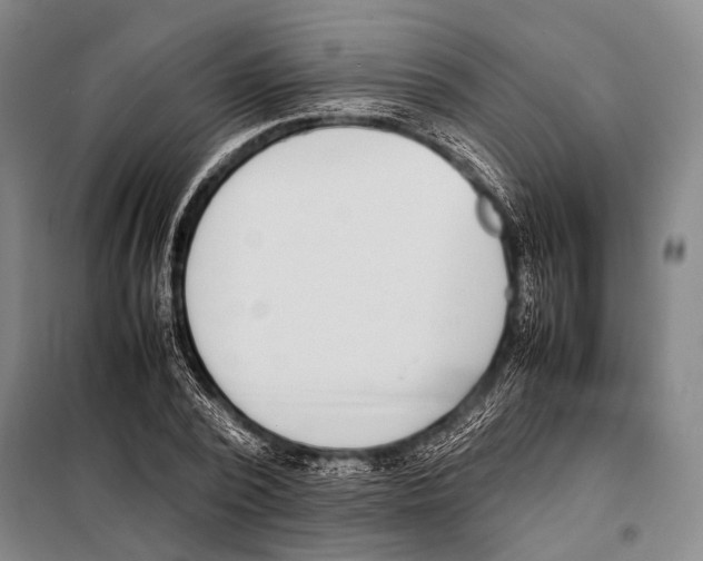 X0000097980784200804211036