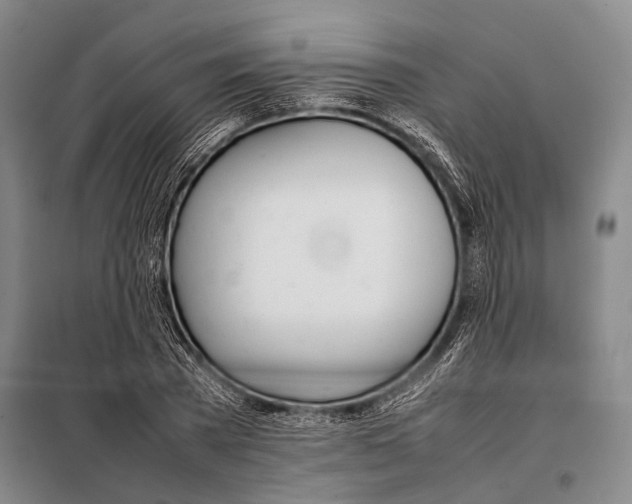 X0000097980785200804211036