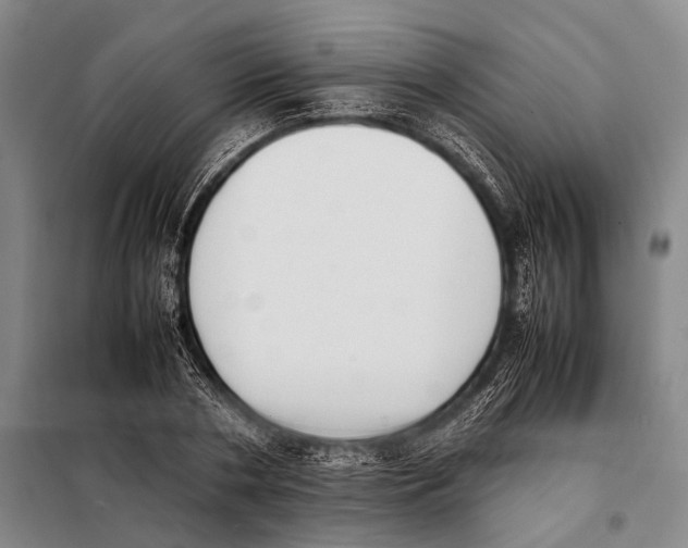 X0000097980786200804211036