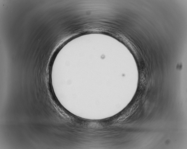 X0000097980787200804211036