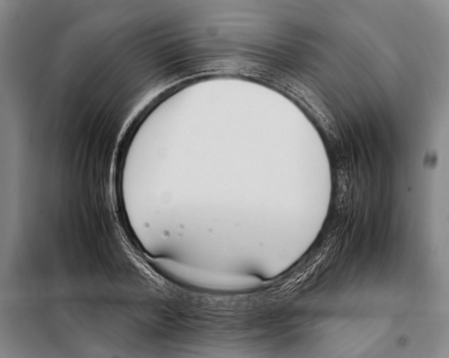 X0000097980788200804211036