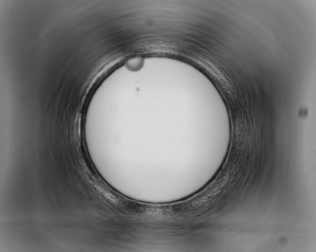 X0000097980790200804211036