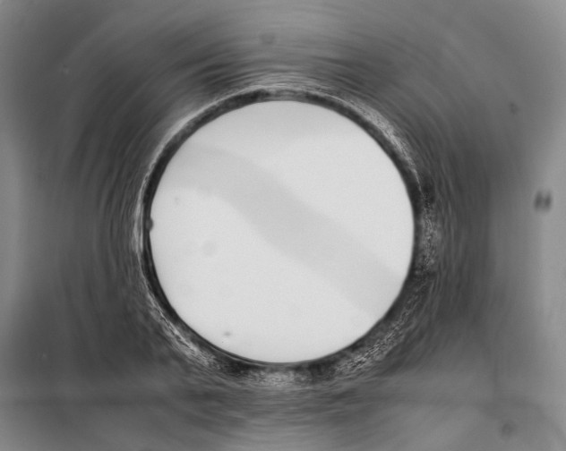 X0000097980791200804211036