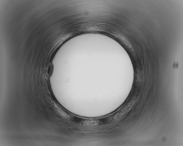 X0000097980793200804211036