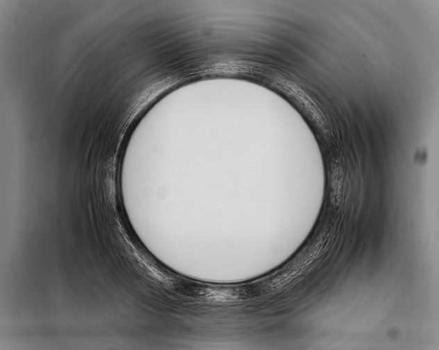 X0000097980794200804211036