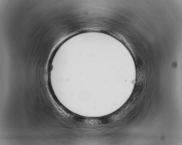 X0000097980795200804211036