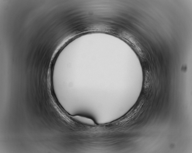 X0000097980796200804211036