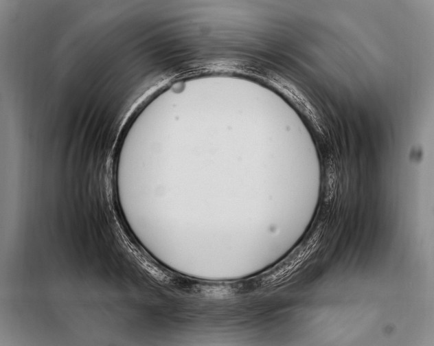 X0000097980798200804211036