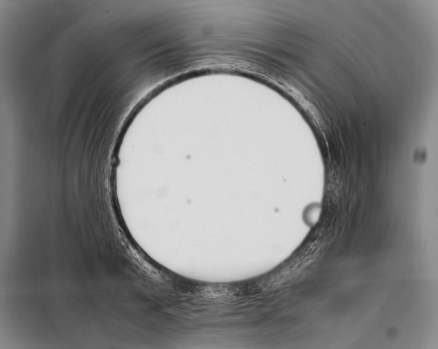 X0000097980799200804211036