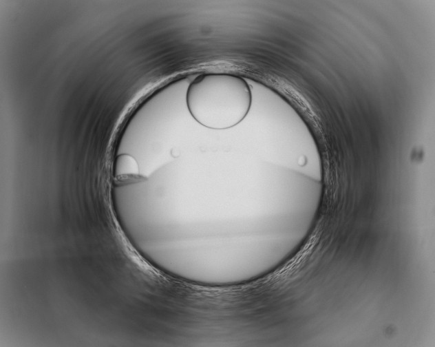 X0000097980800200804211036