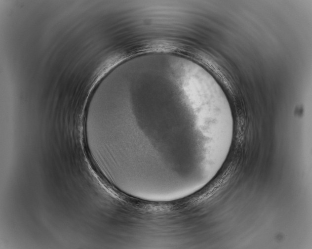 X0000097980802200804211036